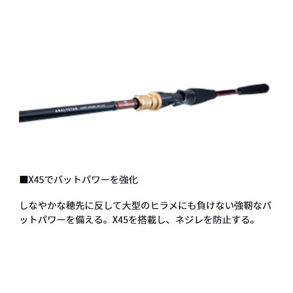 21アナリスター ライトヒラメ